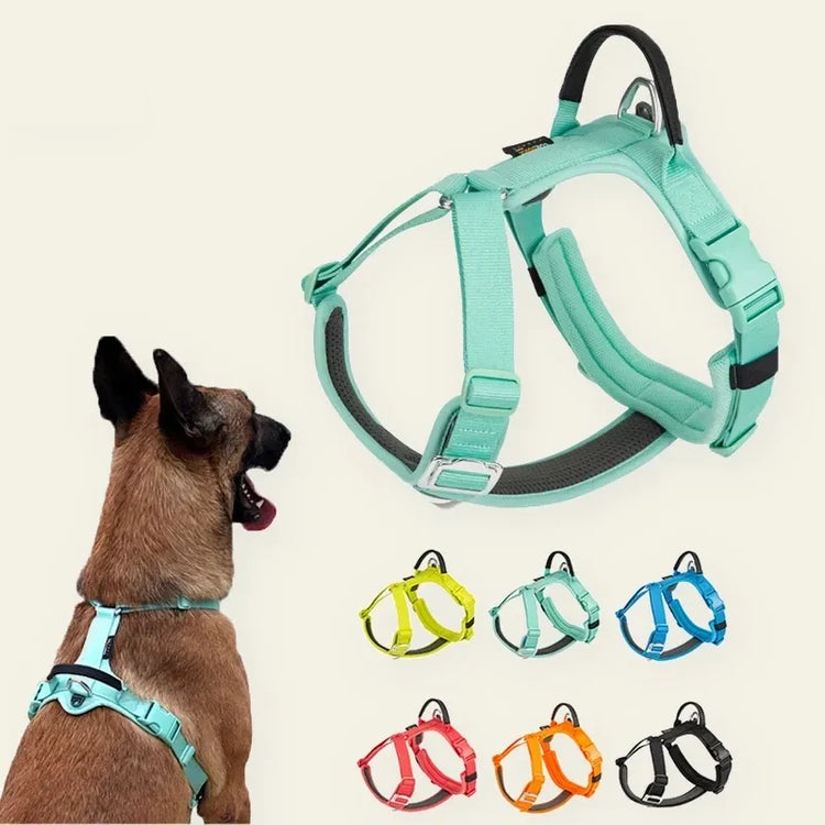 Harnais pour chien Copain d'Balade
