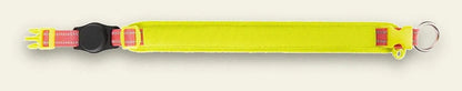 Collier AirTag réfléchissant