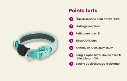 Ensemble harnais, laisse & collier