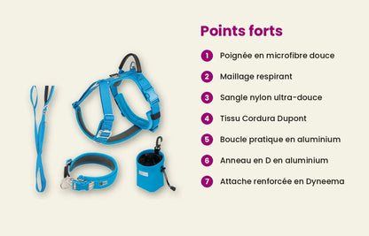 Ensemble harnais, laisse & collier