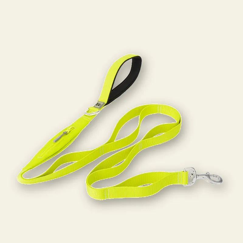 Laisse double poignée